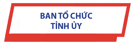 Ban Tổ chức tỉnh ủy