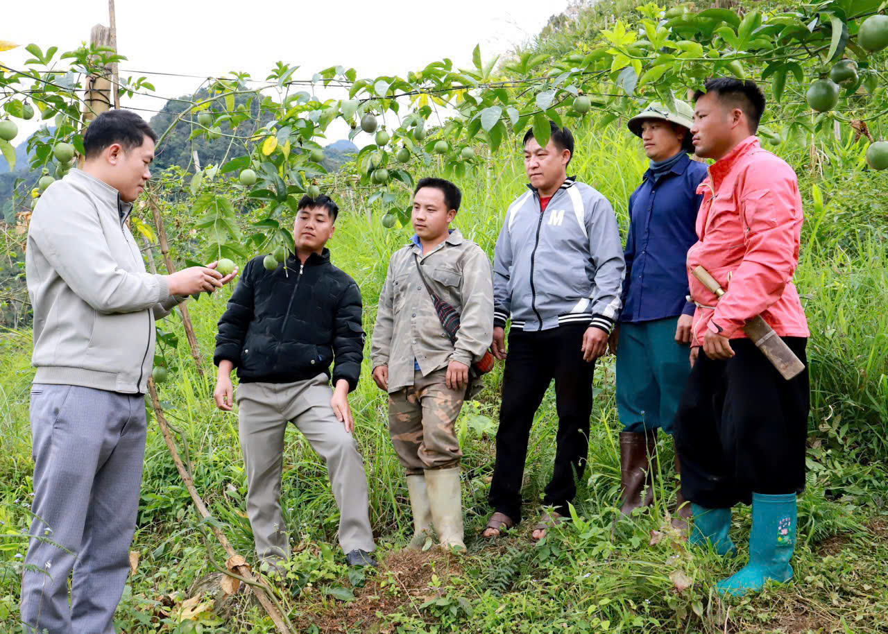 Nhân dân tích cực chuyển đổi cây trồng, vật nuôi nâng cao giá trị sản xuất nông nghiệp